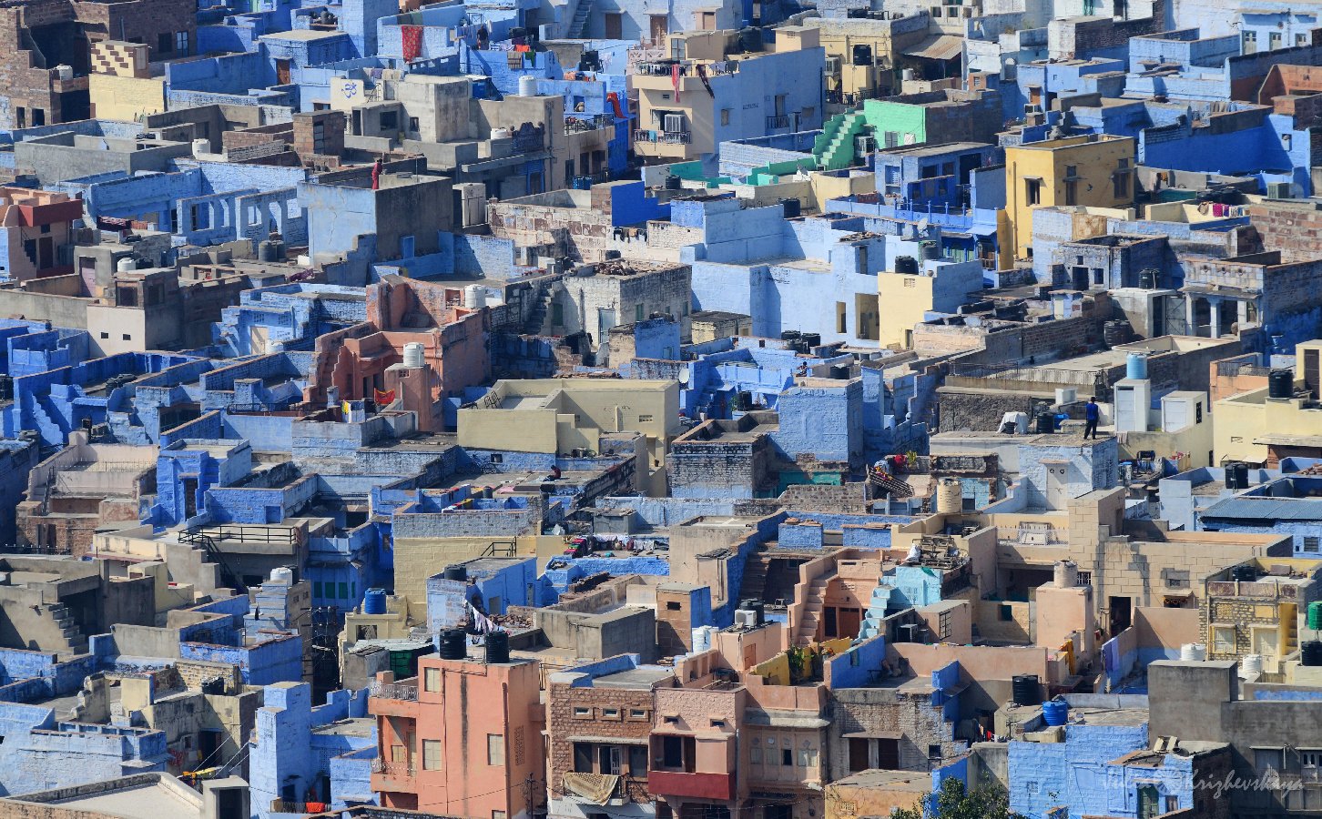 Голубой город (Джодхпур,Раджастан,Индия)