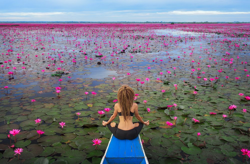 Lotus Sea