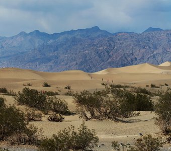 Панорамы Долины смерти. Песчаные дюны - Mesquite Flat Sand Dunes