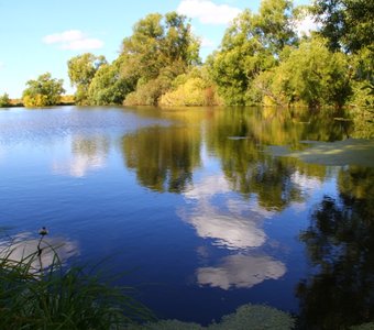 Линьковский осенний пруд
