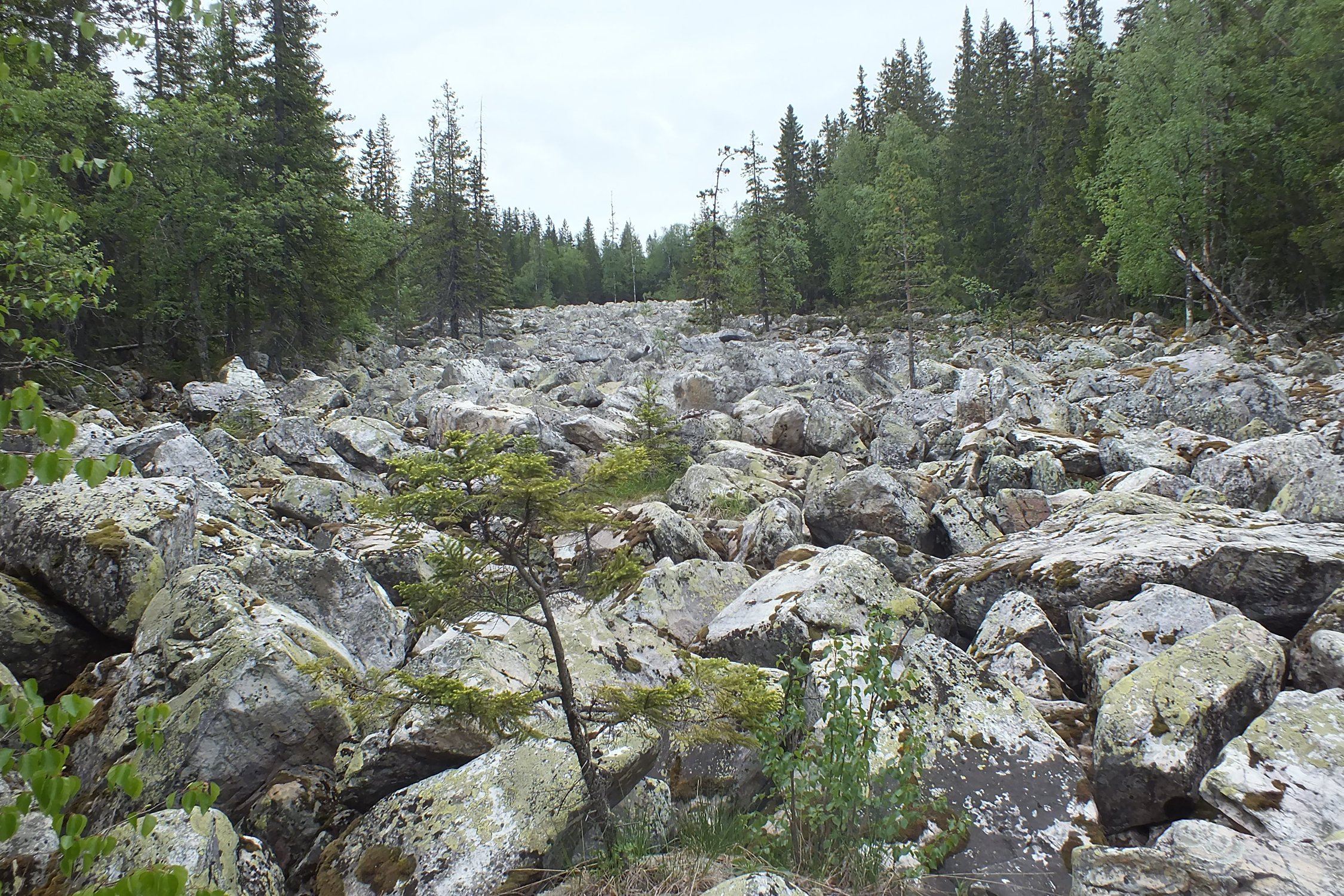 Каменная земля