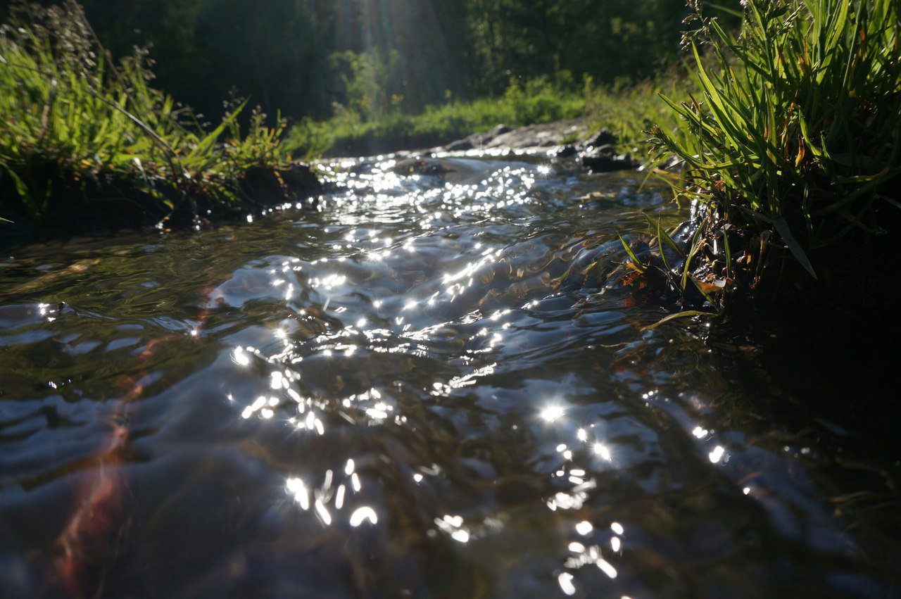"Серебряный источник"