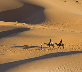 Утренние дюны Сахары