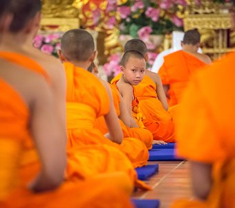 Молодые монахи в одном из храмов Чиангмая в Таиланде