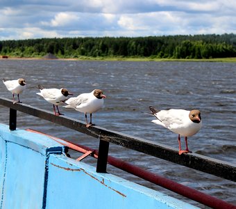 Переправа