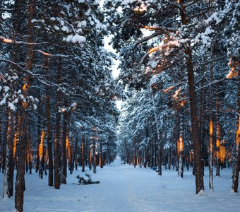 Огненные вспышки заката