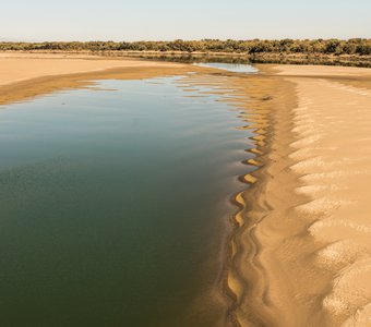 Песчаная Сырдарья