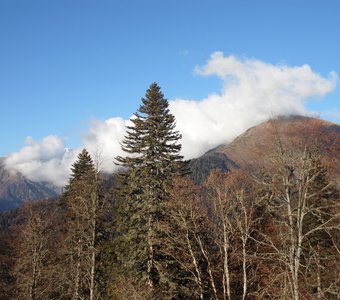 Горы Кавказа в дымке облаков, осенняя природа
