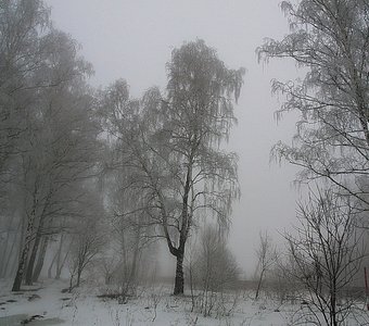 зимний туман...