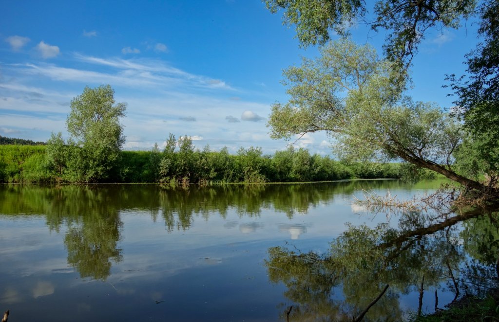 Река бабка пермский край