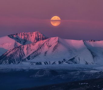 Царство полной луны.