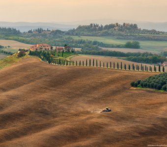 Италия. Тоскана. Поля у виллы Agriturismo Baccoleno