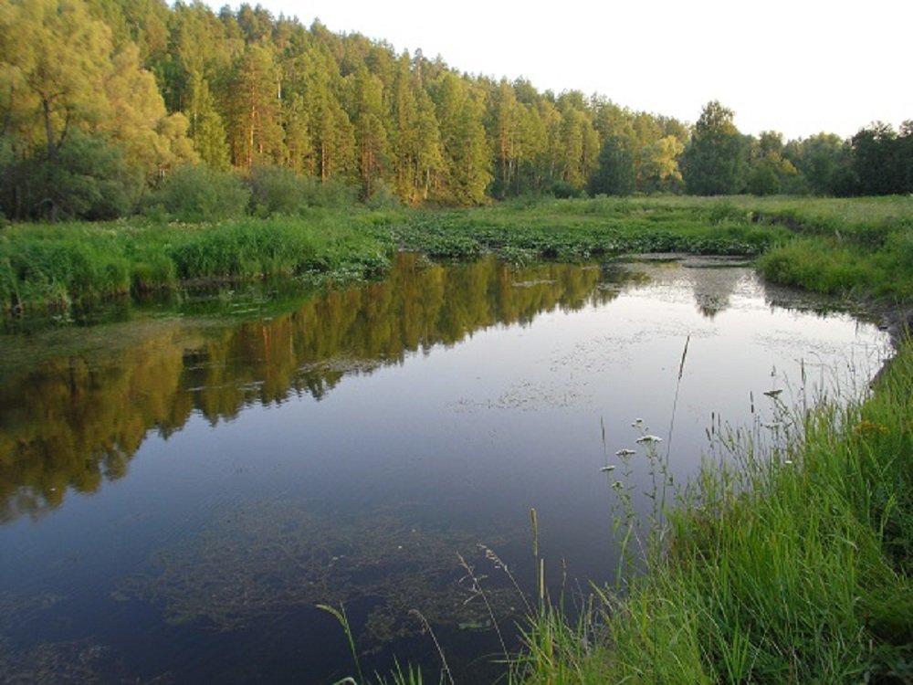 Река Зилаир. Грязный.