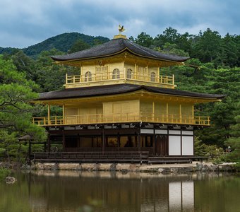 золотой храм Кинкаку-дзи