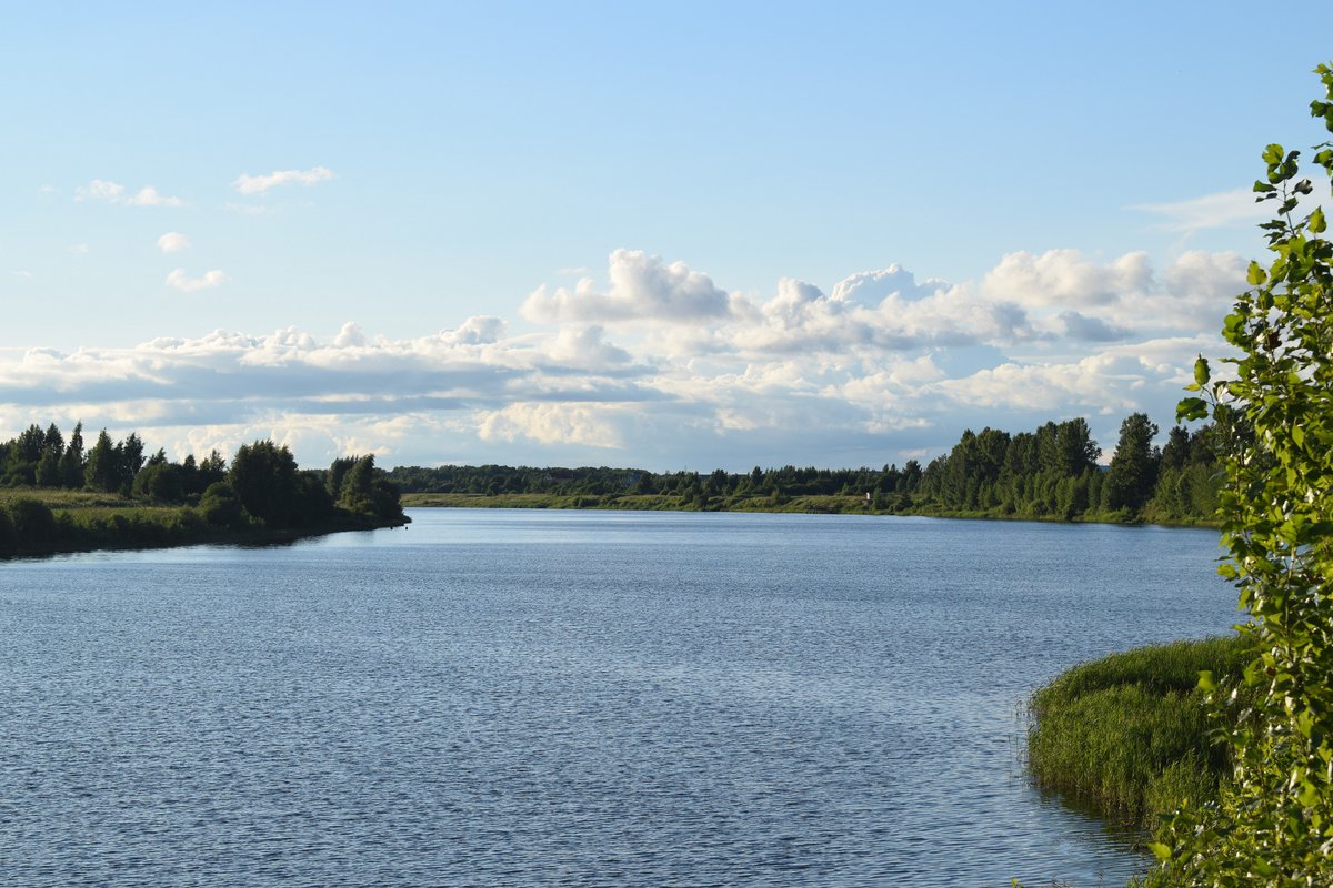 Кострома река белилка