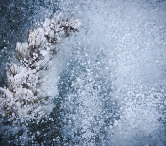 Жизнь после льда