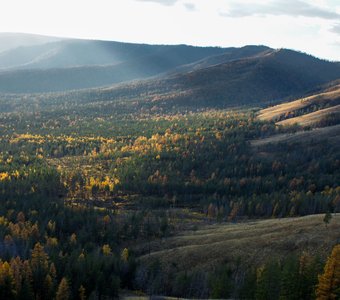 доброе утро мир