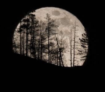 Восход полной луны в Горном Алтае.