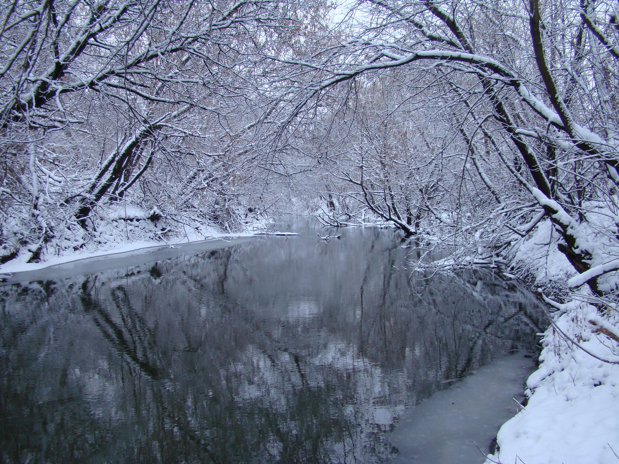 Зеркальная тишина