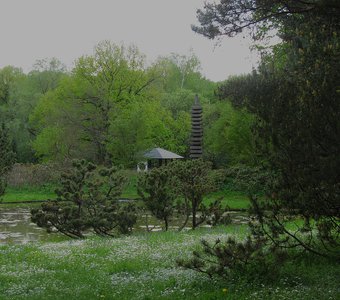 Лужайка с маргаритками