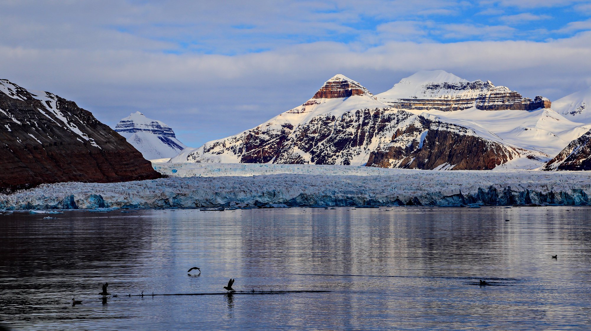 Выводной ледник Kronebreen