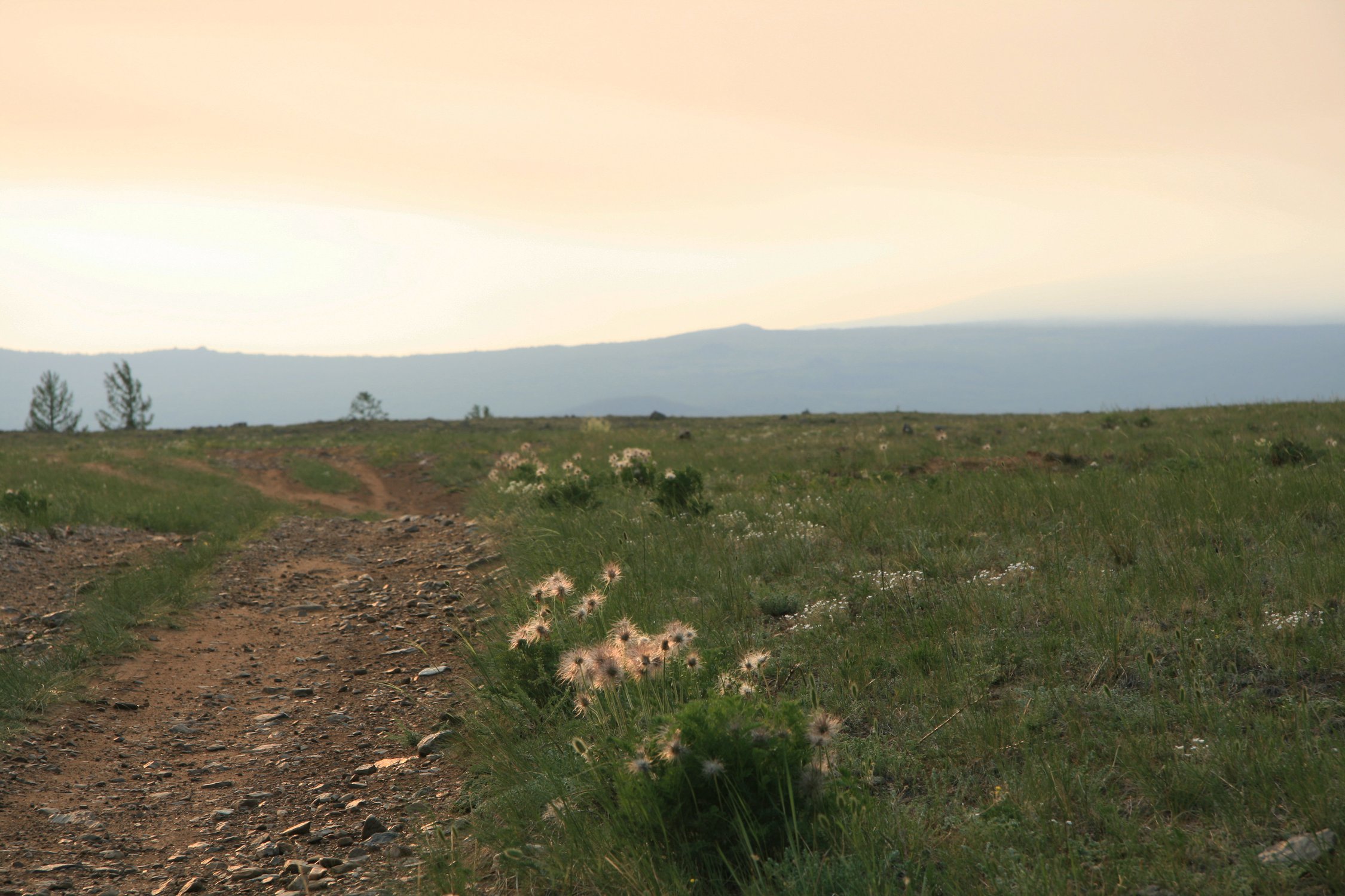 Ещё раз о пухе и камнях