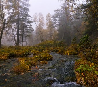 Осенние воды Архыза