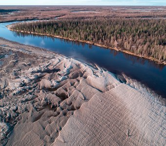 Берег лесотундры