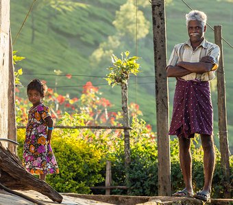 Красивые люди с чайных плантаций Муннара в Индии