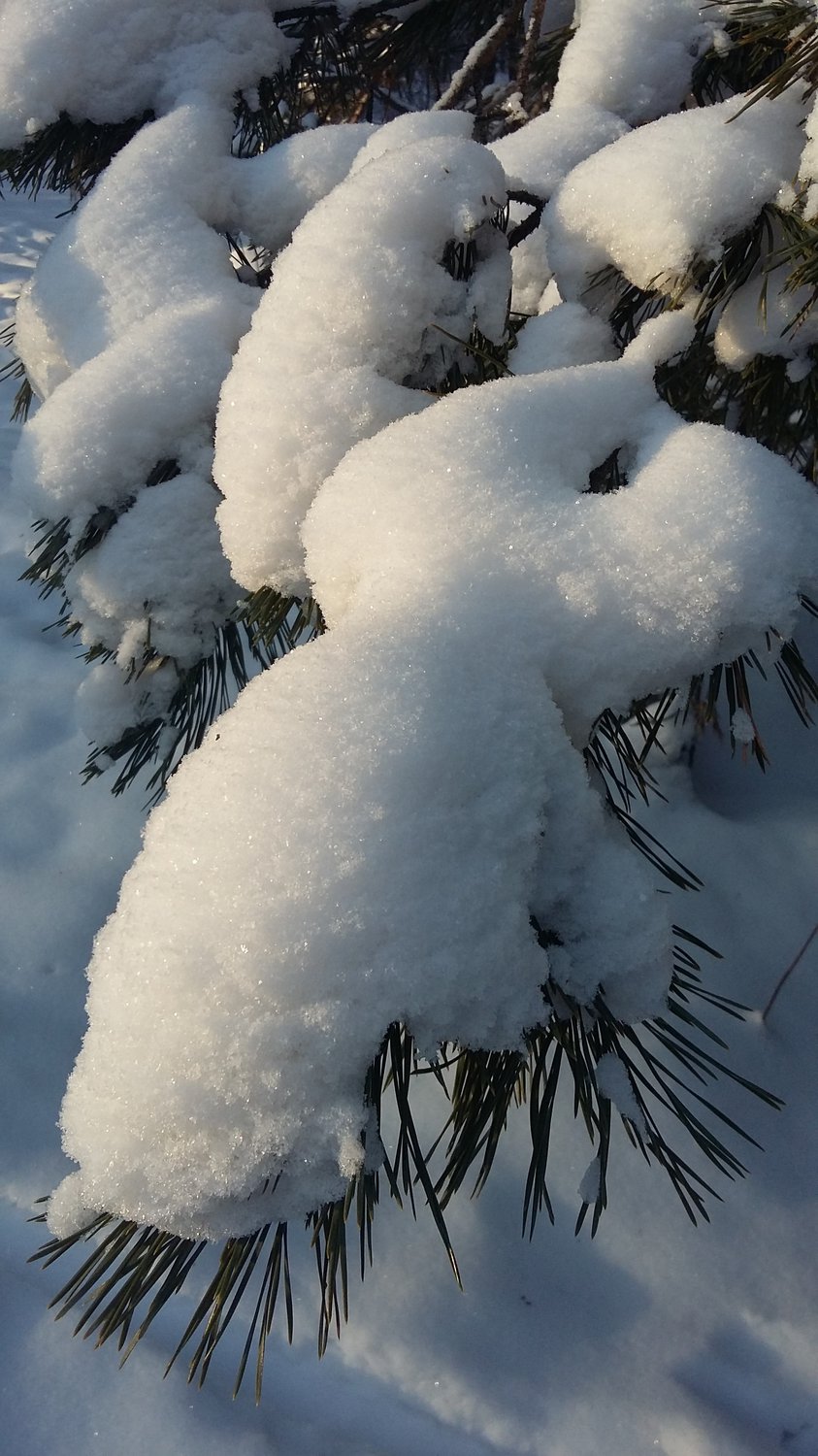 Словно с открытки
