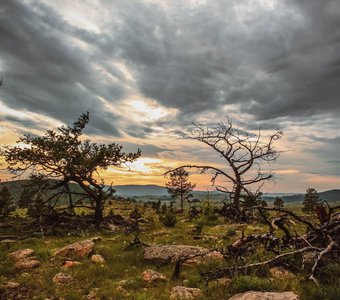 Закат над Тажеранской степью