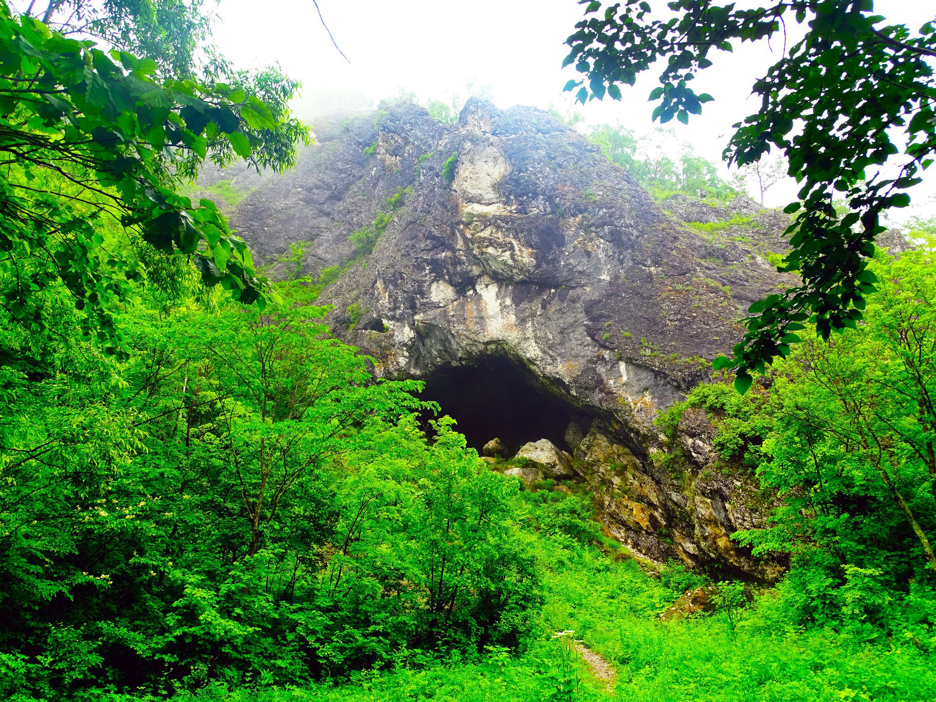 Дальнегорск история