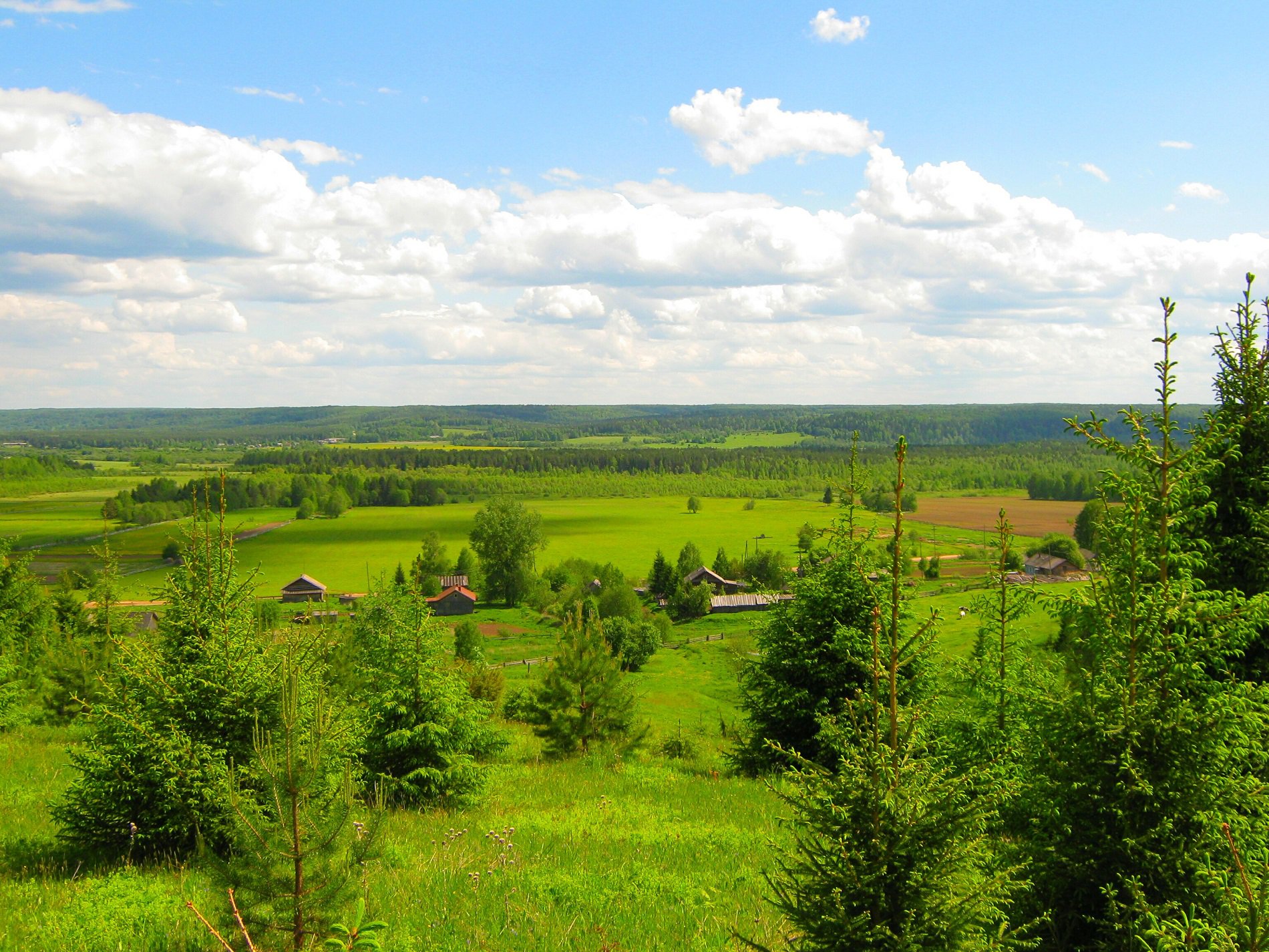 Деревенька The village