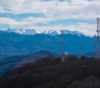 Селекция