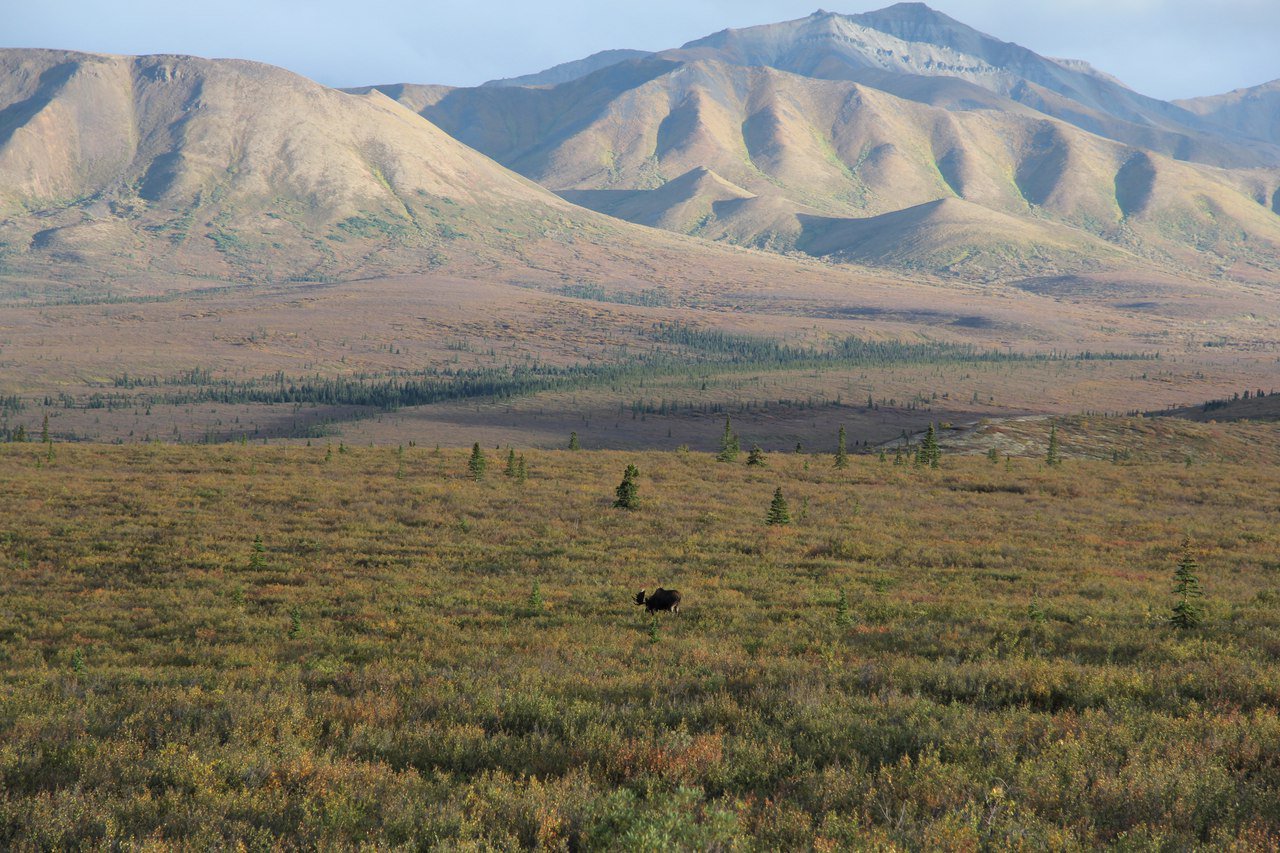 Суровая жизнь