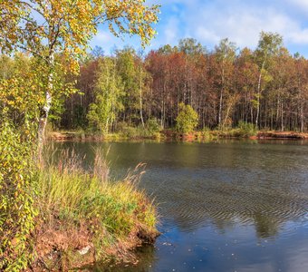 Золотая осень