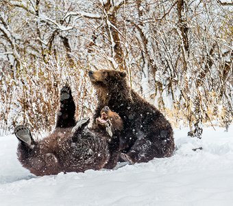 ЖИЗНЬ ПРЕКРАСНА!