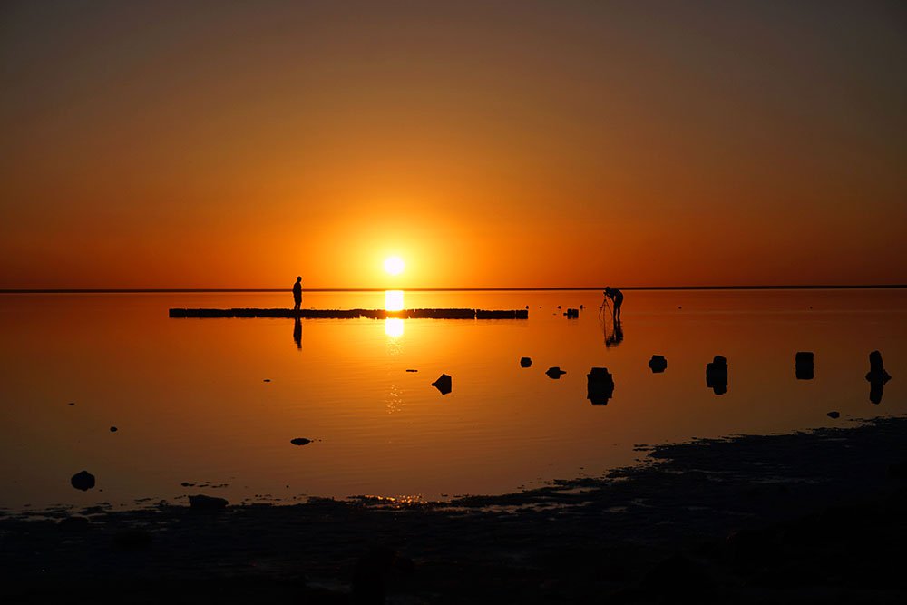 Творец и муз