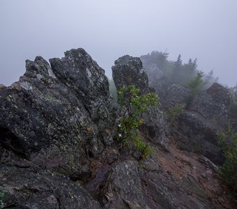 Туман на Двуглавой