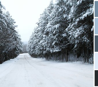 Дорога, наполненная зимней атмосферой