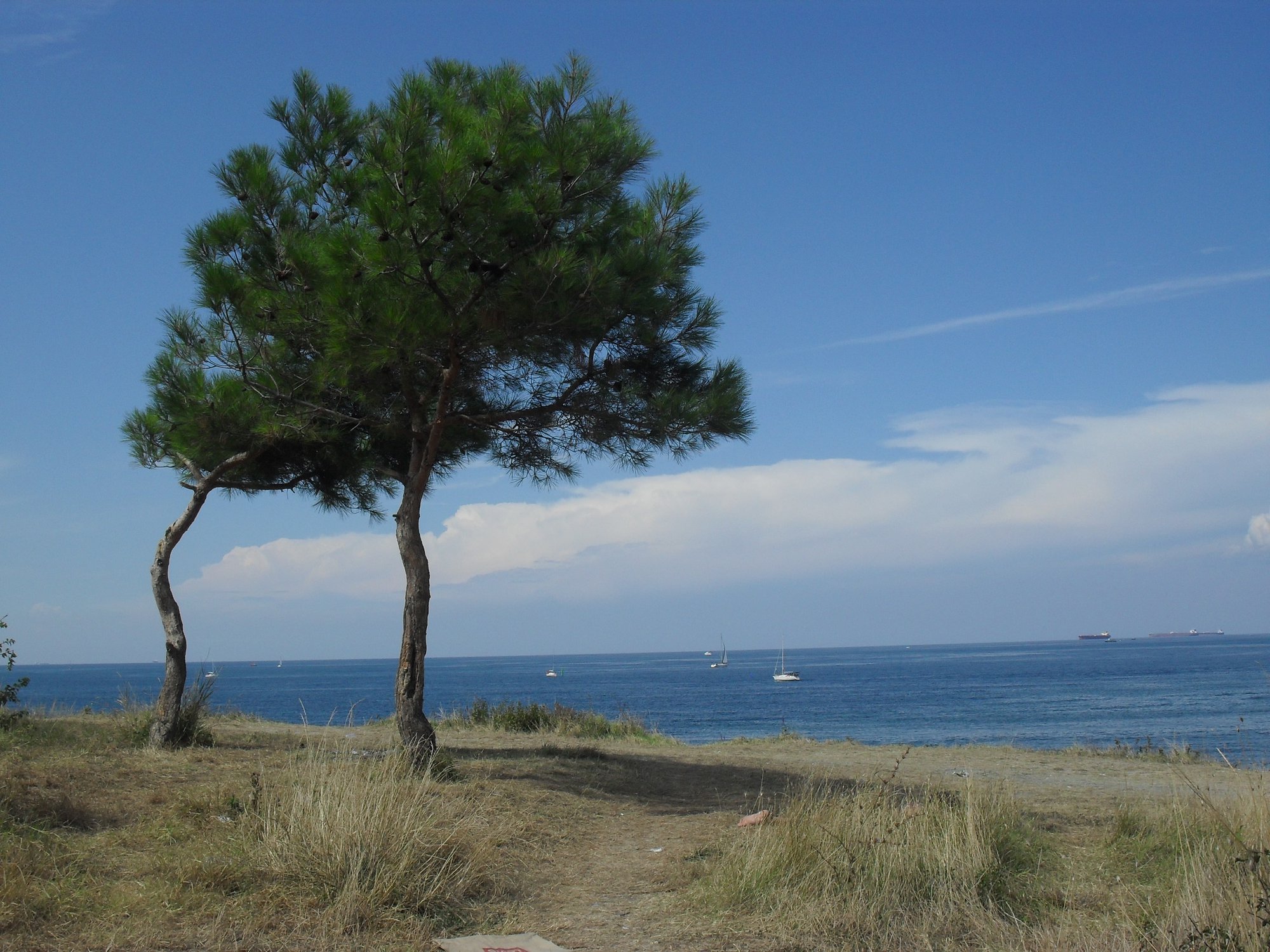 УЕДИНЕННАЯ КРАСОТА