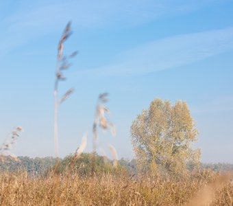 Золотое сентябрьское утро