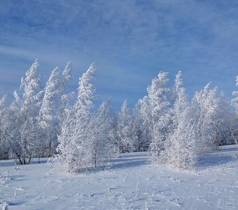 По деревьям серебристая перекинулась фата