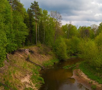 майская Снежеть