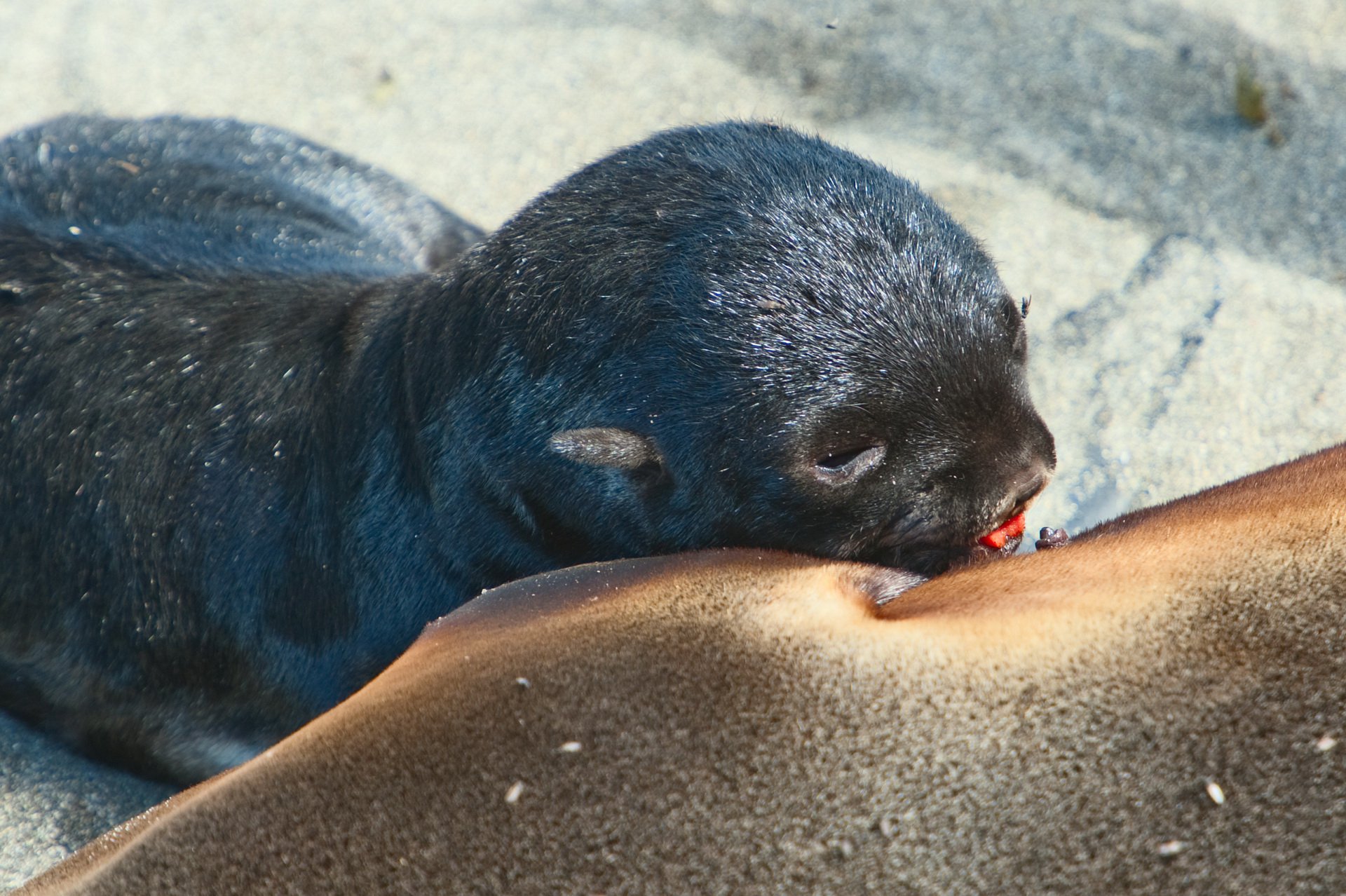 Вкусный завтрак