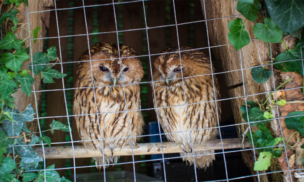 Однажды мы улетим и никогда не вернемся.