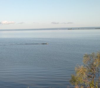 Рассекая водную гладь.