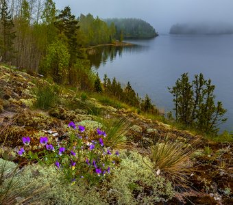 Весна на Ладожских островах