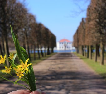 Весна в Петергофе