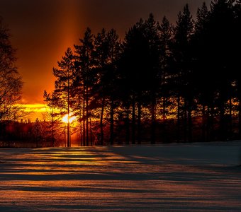 Закат над берегами озера Пиелинен в регионе Северная Карелия Финляндии.